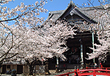 和歌山市「紀三井寺」 和歌山市「紀三井寺」